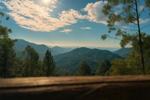 Billede fra billedgalleriet på Earth Camping - Ella i Ella + 39 billeder