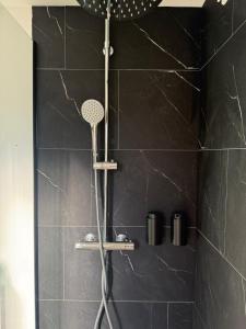 a shower with a shower head in a bathroom at Studio du Lion - Proche vieille ville in Belfort