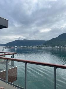 Naturlandskabet i nærheden af lejligheden