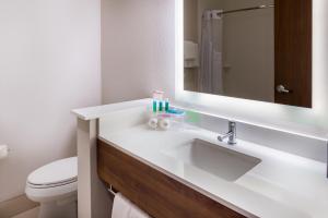 a bathroom with a sink and a toilet at Holiday Inn Express Fort Worth West, an IHG Hotel in Fort Worth