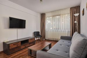 a living room with a couch and a flat screen tv at Konstanzer Podu Ros 2 - 3 camere, bucatarie, aer conditionat, masina de spalat in Iaşi