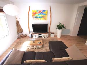 a living room with a couch and a flat screen tv at Appartement 90 m2 avec parking terrasse balcons, proche du port et plages in Arcachon