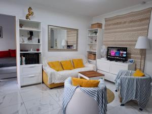 a living room with a couch and a tv at Very nice private Appartment 1 living room with sofa bed 1 bedroom 1 bathroom with toilet 1 Kitchen in Paris