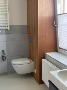 un bagno con un water e un lavandino di Baťovský domek a Zlín Altre 17 foto