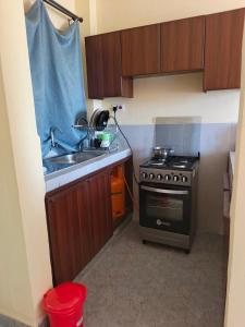una cucina con lavello e fornello di Okoko Enterprises BnB a Kisumu