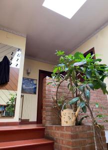 Gallery image of B&B Dora e Flavio Country Rooms in Montegrotto Terme +13 photos