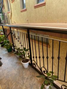 a balcony with a bunch of potted plants on it at DAVE's LIVING in Kampala