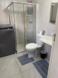 a bathroom with a shower and a toilet and a sink at Tranquil Escape in Bromhof area in Fontainebleau