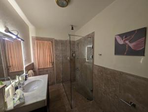 a bathroom with a sink and a shower with a glass door at Tango Violin in Cairo