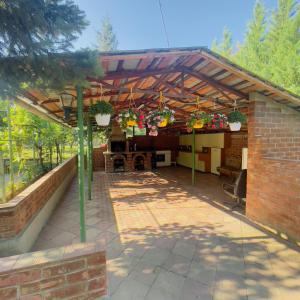 a patio with potted plants on a brick building at Cabană cu gradină in Iași-Bârnova in Bîrnova +28 photos