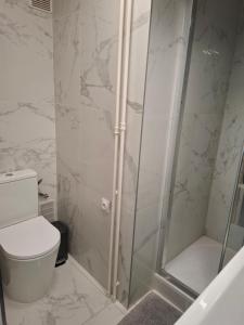 a bathroom with a shower and a toilet at Very nice private Appartment 1 living room with sofa bed 1 bedroom 1 bathroom with toilet 1 Kitchen in Paris