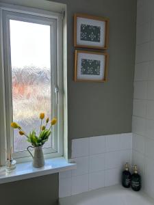 Fotografie z fotogalerie ubytování Little Willow Belfast v destinaci Belfast