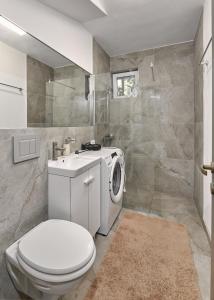 a bathroom with a toilet and a washing machine at Konstanzer Tudor 3 - 2 camere, bucatarie, masina de spalat in Iaşi