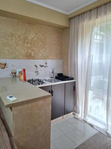Una cocina o cocineta en Hotel Nikala Palace 161 fotos más