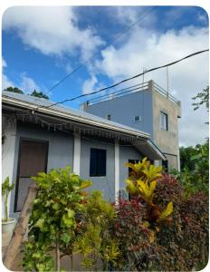 a house with a bunch of plants in front of it at E&Z guest house in Sara