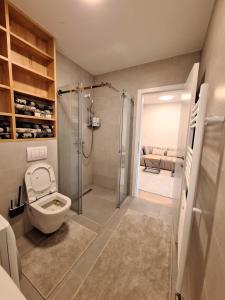 a bathroom with a toilet and a walk in shower at Sunset Dream Apartment -- 2 minutes from the Airport in Sarajevo +16 photos