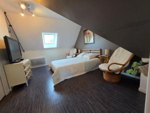 una camera da letto con un letto e una TV a schermo piatto di Logement sur la Loire à vélo a Montlouis-sur-Loire
