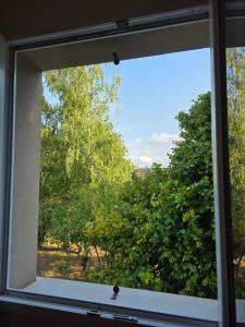 una finestra con vista su un cespuglio di Logement sur la Loire à vélo a Montlouis-sur-Loire
