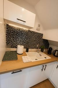 a kitchen with a sink and a counter at Atelier Nature DisneyLand in Quincy-Voisins