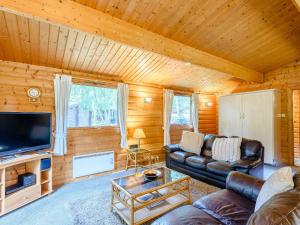 a living room with a leather couch and a tv at Scandinavian Lodge - Uk37188 in Legbourne