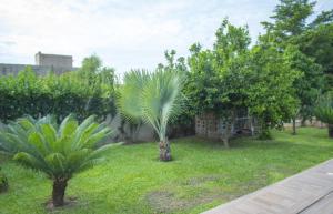 Gallery image of Elysee in Mbour