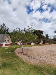 un árbol en un campo al lado de una casa en Pousada do Lago Ltda, en Conceição do Mato Dentro