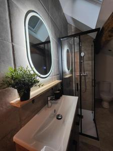 a bathroom with a sink and a mirror and a shower at Maisonnette de prestige au cœur des vignes in Couchey +2 photos