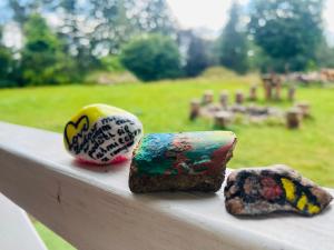 a group of rocks sitting on a rail at Domki w Lesie in Silnowo