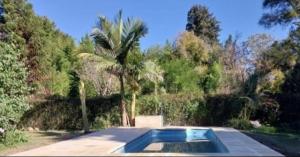 a swimming pool in a yard with a palm tree at LO de JIMENA in Los Cardales