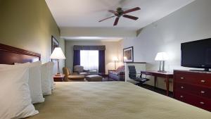 Μια τηλεόραση ή/και κέντρο ψυχαγωγίας στο Best Western Geneseo Inn