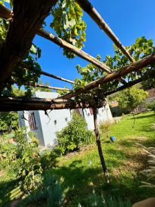 Κήπος έξω από το Villa Mouloud, arougou khenifra