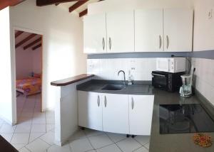 a kitchen with white cabinets and a sink and a microwave at Le magnifique in Pointe-à-Pitre