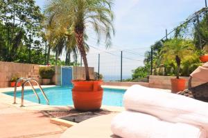 a swimming pool with a palm tree next to a resort at Condo Selva Alta in Puerto Vallarta