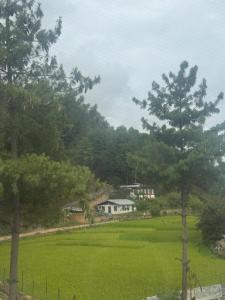 Un campo de césped verde con una casa a lo lejos en Sompal Serviced Apartment, en Paro