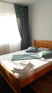 Afbeelding uit fotogalerij van Apartment Eleven in Tîrgu Ocna