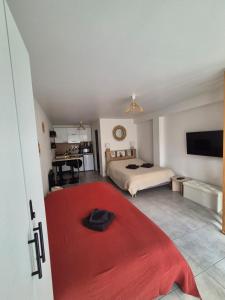a bedroom with a bed and a red rug at Studio Bohême chic à Disney in La Houssaye-en-Brie