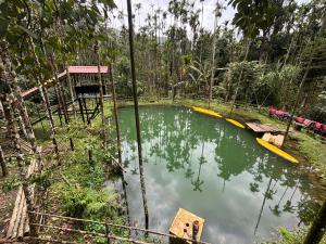 a pond in the middle of a forest at Haranamakki Homestay in Kalasa