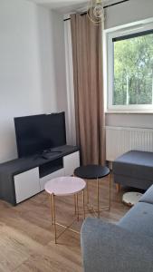 Μια τηλεόραση ή/και κέντρο ψυχαγωγίας στο Przyjazny Apartament