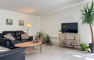 a living room with a couch and a tv at Holiday Home Pilemose Ii in Skovby