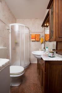 a bathroom with a shower and a toilet and a sink at Apartment Dolores in Opatija