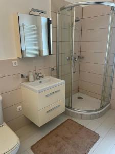 a bathroom with a sink and a shower with a mirror at Le Bon Choix in Tohani +24 photos