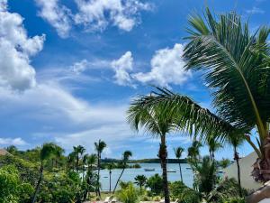 a view of a beach with palm trees and water at Blue Marine Apartment in Baie Nettle