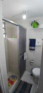 a small bathroom with a shower and a toilet at Terê Lounge in Teresópolis