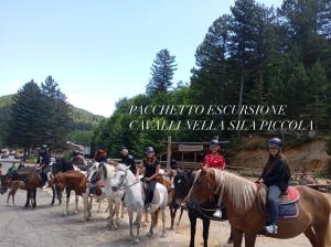 a group of people riding horses on a road at B&B IN Family in Cotronei