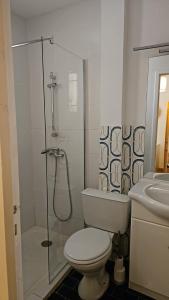 a bathroom with a toilet and a shower and a sink at appartement confortable in Sainte-Croix-de-Verdon