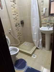 a bathroom with a shower and a toilet and a sink at Royal Homes in Nairobi +16 photos