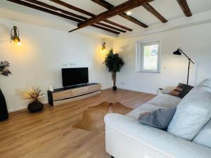 a living room with a couch and a flat screen tv at Sehr gut ausgestattetes Einfamilienhaus in Hochspeyer