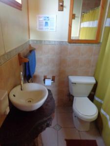 y baño con aseo blanco y lavamanos. en Hostal Epu Pewen, en Curacautín