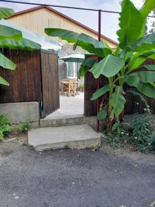 Imagen de la galería de Emilia, en Signagi