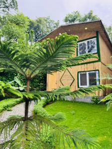 Κήπος έξω από το Euphoria Stays-A Bamboo House